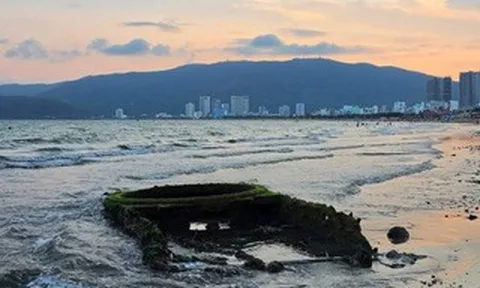 Cận cảnh "vật lạ" trồi lên trên bờ biển Quy Nhơn