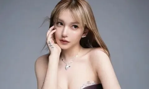 Người mẫu Lý Vũ Đồng bị cảnh sát bắt tạm giam