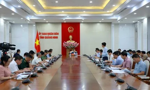 Quảng Ninh: Chủ tịch UBND tỉnh kiểm điểm tiến độ các tổ công tác trọng điểm