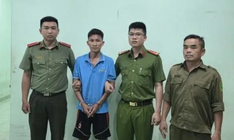 Khi "dạy dỗ" hóa bạo hành