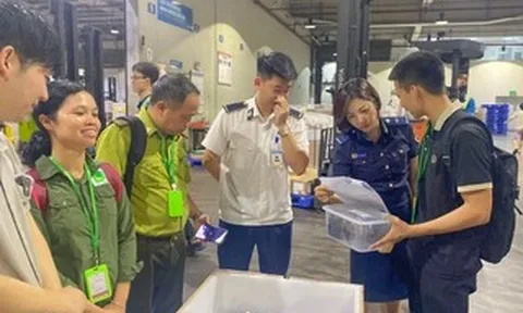 Tiếp nhận 28 cá thể rùa quý hiếm hồi hương từ Hàn Quốc
