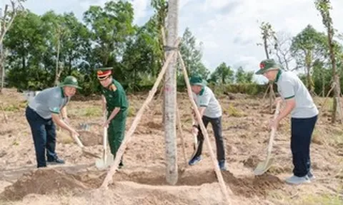 Cà Mau phát động Tết trồng cây "Đời đời nhớ ơn Bác Hồ", mục tiêu trồng mới hơn 1 triệu cây xanh