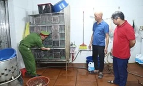 Khám xét nơi ở, khởi tố chủ nhà hàng Nguyễn Danh Việt SN 1976