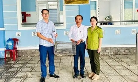 Phát hiện con vật quý hiếm, dài 70cm nằm giữa đồng ruộng