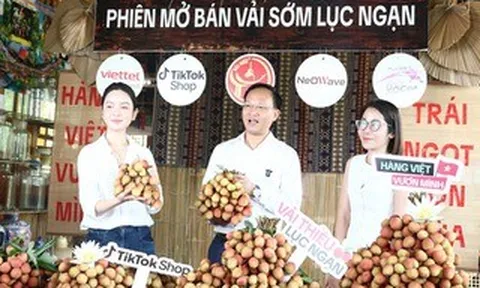 Phó chủ tịch tỉnh livestream bán vải thiều thu hút hàng trăm ngàn lượt xem, chốt 4.830 đơn
