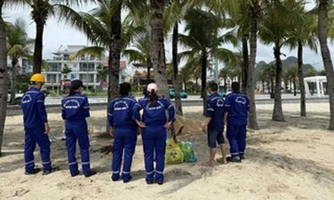 Phát hiện 2 thi thể nam, nữ trôi dạt trên vịnh Hạ Long