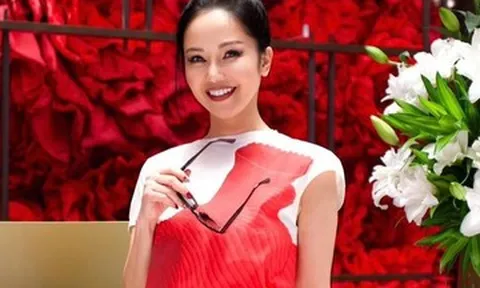 Diva Hồng Nhung mặt sưng vù vẫn lên sân khấu diễn, tìm chỗ dựa khi điều trị ung thư