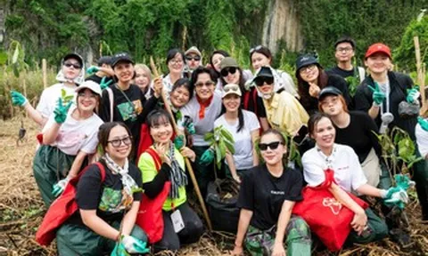 Hà Anh Tuấn, Bùi Công Nam, Phùng Khánh Linh lội bùn trồng rừng