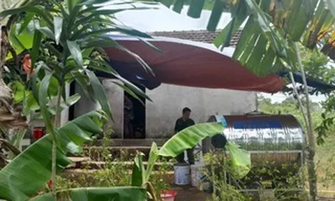 Vào rừng hái cây thuốc, người phụ nữ bị rắn độc cắn tử vong