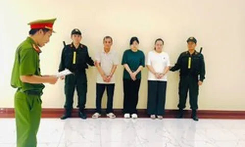 Bắt 3 giám đốc tại TP.HCM