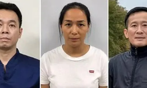 Lý do nguyên Chủ tịch HĐQT và Giám đốc Công ty Cổ phần Đầu tư y tế Việt Mỹ bị bắt