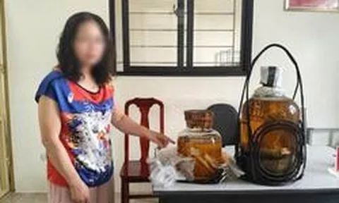 Lệnh bắt khẩn cấp người phụ nữ 55 tuổi mua bình rượu rắn hổ mang chúa