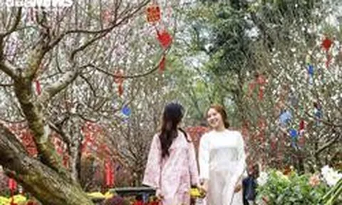 Bộ Nội vụ đề xuất nghỉ Tết Nguyên đán 2027 kéo dài 7 hoặc 10 ngày