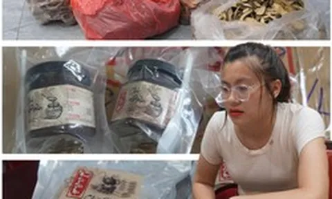 Khám xét, bắt Phùng Hồng Huệ SN 1998 và 11 người liên quan 120 tỷ đồng tiền bán thuốc sinh lý nam