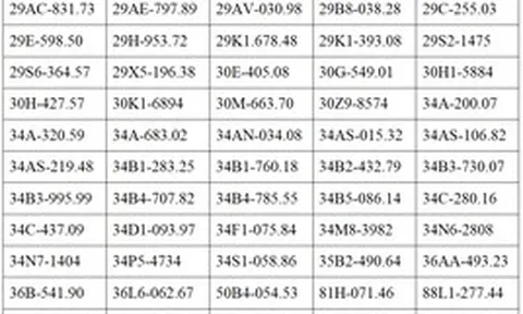 884 chủ phương tiện trong danh sách dưới đây nhanh chóng nộp phạt nguội theo Nghị định 168