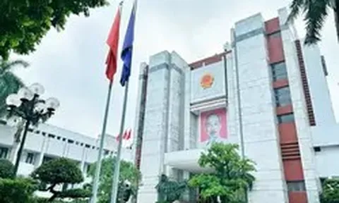Hà Nội xem xét miễn nhiệm chức vụ Ủy viên UBND thành phố với 11 giám đốc sở, ngành