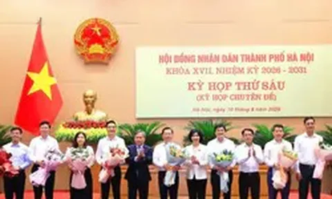Hà Nội miễn nhiệm ủy viên UBND thành phố với 11 lãnh đạo sở, ngành
