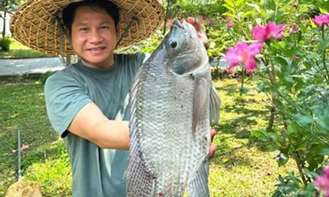 Ca sĩ Trọng Tấn câu được cá to, cuộc sống đầy hoa tươi của hoa hậu Giáng My