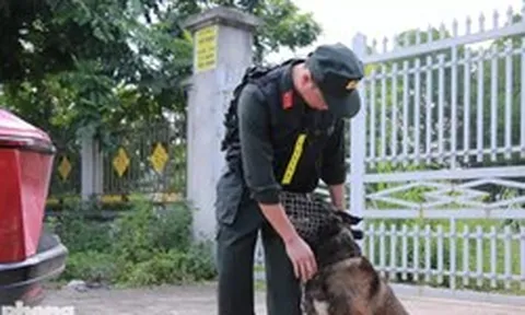An ninh siết chặt, cảnh khuyển được huy động tại điểm thi lại ở Tuyên Quang