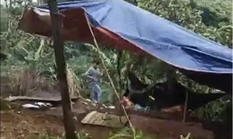 Vụ nữ nhân viên thư viện trường nghi bị đồng nghiệp sát hại, chôn trong rẫy: Hiệu trưởng nói gì về nghi phạm?