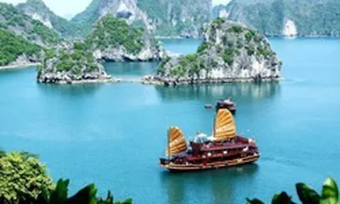 Mỗi địa điểm sẽ có mã định danh 12 chữ số, hiển thị trên VNeID