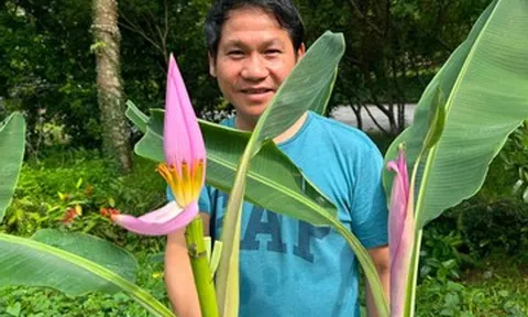Trọng Tấn khoe hoa chuối độc lạ, vợ NSND Công Lý đăng ảnh hài hước bên chồng