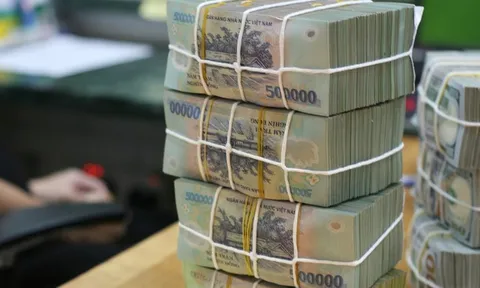 Hoàn thiện quy định về tiền lương thu hút chuyên gia nước ngoài đến làm việc