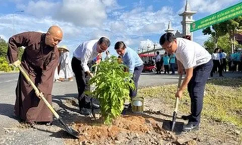Tuyến đường hoa dọc kênh tại xã Bình Lợi