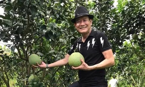 Danh ca Tuấn Vũ U70 mê làm vườn ở Mỹ, MC Hoàng Oanh hút hồn ở tuổi 36