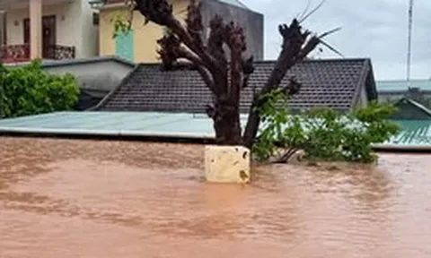 Mưa lũ bủa vây nhiều vùng Quảng Trị, hàng trăm nhà dân chìm trong 'biển nước'