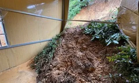 Vết nứt trên đồi kéo dài 300m, 78 hộ dân ở Lâm Đồng phải di dời