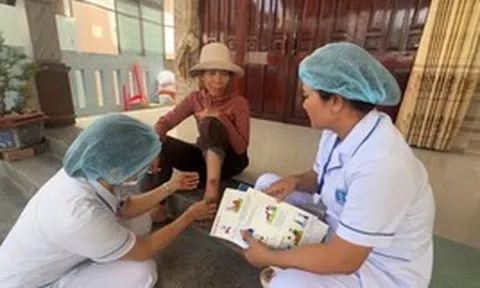 Chó mắc bệnh dại cắn 8 người ở Quảng Ngãi