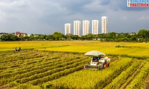Triển lãm ảnh "Một thoáng Nông thôn mới Hà Nội" tại Thành phố Sáng tạo Mailand Hà Nội City thành công rực rỡ!