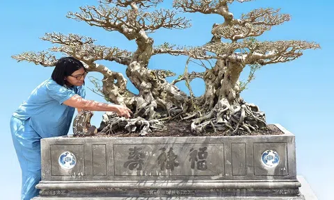 Vì sao tác phẩm Sanh cổ Song Long Tọa Thạch lại được các đại gia săn lùng!