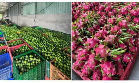 Công Ty TNHH Tâm Sen 2 – Kiến tạo giá trị từ tâm, vững bước tầm cao