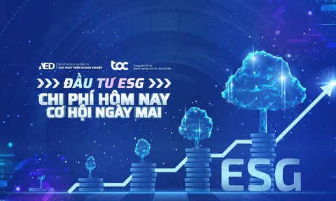 Hội đồng quản trị ESG: Vai trò tiên phong trong phát triển bền vững của doanh nghiệp